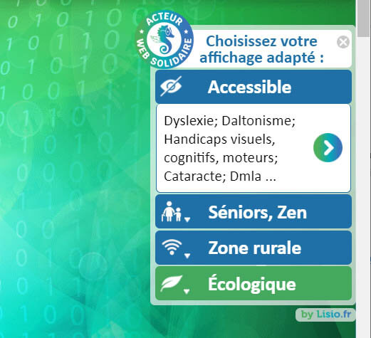 Lisio Web Solidaire | Choisissez votre affichage adapté